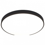 Накладной светильник Arte Lamp Arena A2673PL-1BK в интернет-магазине "Галерея света"