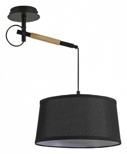 Светильник на штанге F-promo Eureka 3006-1P в интернет-магазине "Галерея света"