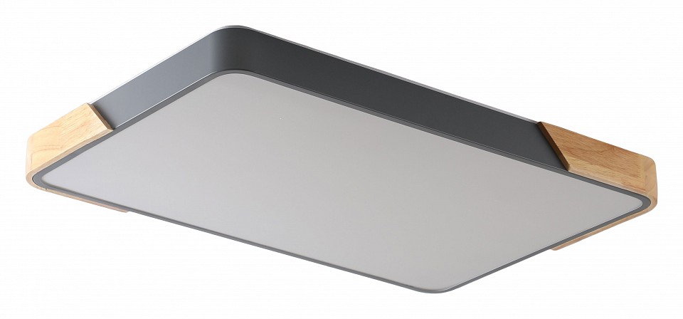 Накладной светильник Zortes Alberro ZRS.01277.60 в интернет-магазине "Галерея света"