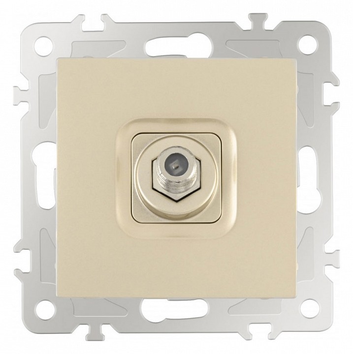 ТВ-розетка без рамки Arte Milano am-206 206.42-1.shampan в интернет-магазине "Галерея света"