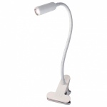 Настольная лампа офисная Citilux Ньютон CL803060N в интернет-магазине "Галерея света"