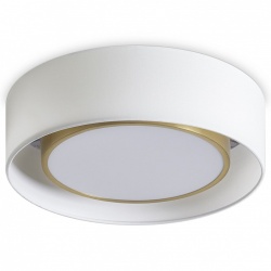 Накладной светильник Freya Cozy FR6170CL-L52BS в интернет-магазине "Галерея света"