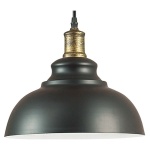 Подвесной светильник Lumion Dario 3675/1 в интернет-магазине "Галерея света"