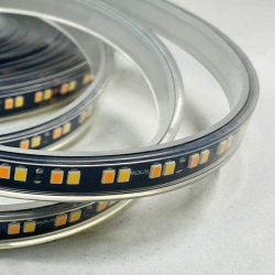 Лента светодиодная Favourite  2001-62020 в интернет-магазине "Галерея света"