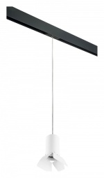 Подвесной светильник Lightstar Rullo PRORP436436 в интернет-магазине "Галерея света"