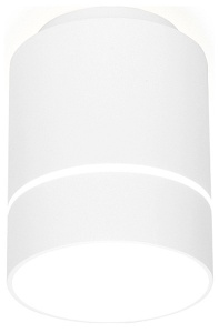 Накладной светильник Ambrella Light TN TN256 в интернет-магазине "Галерея света"