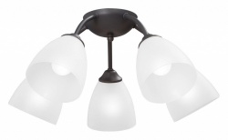 Потолочная люстра Vitaluce V3184 V3737-2/5PL в интернет-магазине "Галерея света"