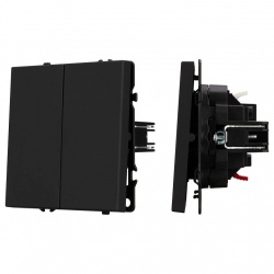 Выключатель двухклавишный без рамки Arlight SWT 054252 в интернет-магазине "Галерея света"