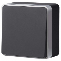 Выключатель одноклавишный Werkel Gallant (черный с серебром) W5010034 в интернет-магазине "Галерея света"