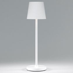 Настольная лампа декоративная Elektrostandard Mist a063928 в интернет-магазине "Галерея света"