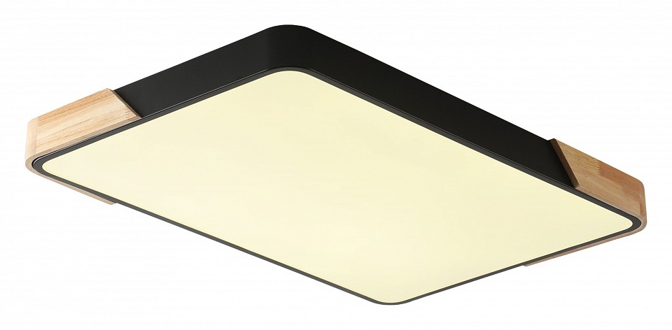 Накладной светильник Zortes Alberro ZRS.01244.60 в интернет-магазине "Галерея света"