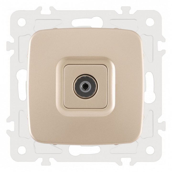 ТВ-розетка без рамки Arte Milano am-205 205.43-1.shampan в интернет-магазине "Галерея света"