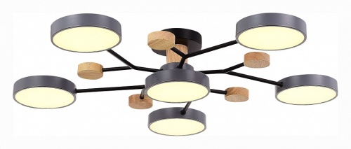 Потолочная люстра EVOLUCE Faema SLE6006-702-06 в Нижнем Новгороде фото 2