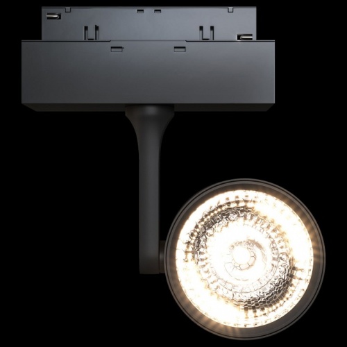 Светильник на штанге Maytoni Track lamps 3 TR024-2-10B3K в Ртищево фото 4