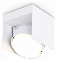 Накладной светильник Ambrella Light TN TN70841 в Нижнем Новгороде