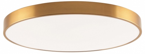 Накладной светильник Zortes Tortty ZRS.02566.96 в Нижнем Новгороде