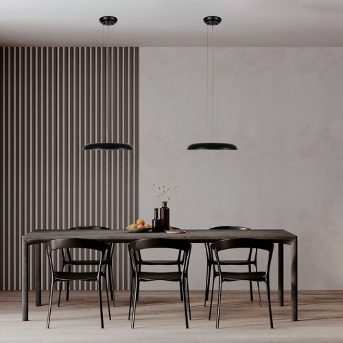 Подвесной светильник Loft it Dime 10371P Black в Нижнем Новгороде фото 2