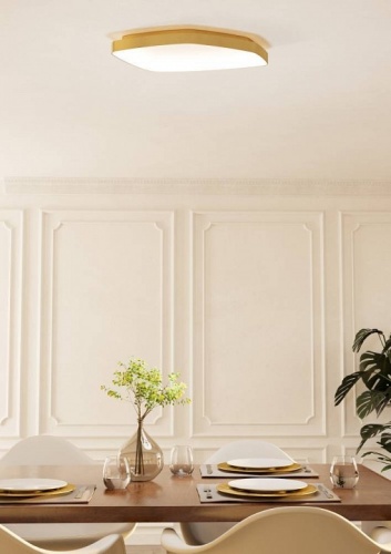 Накладной светильник Eglo Vallerosa 900916 в Нижнем Новгороде фото 3