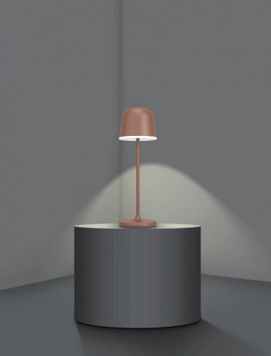 Настольная лампа декоративная Eglo ПРОМО Mannera 900459 в Арзамасе фото 6