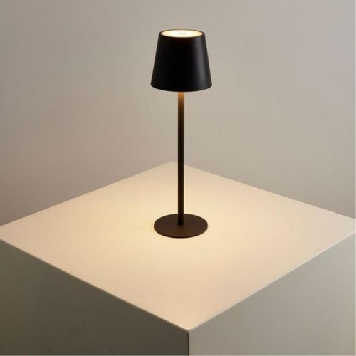 Настольная лампа декоративная Arte Lamp Fuyue A1614LT-1BK в Конаково фото 2