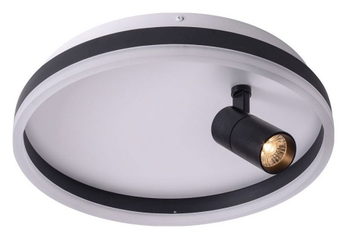 Накладной светильник Zortes Raizy ZRS.1888.03 в Нижнем Новгороде