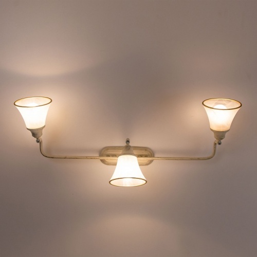 Спот Citilux Прованс CL511534 в Нижнем Новгороде фото 6