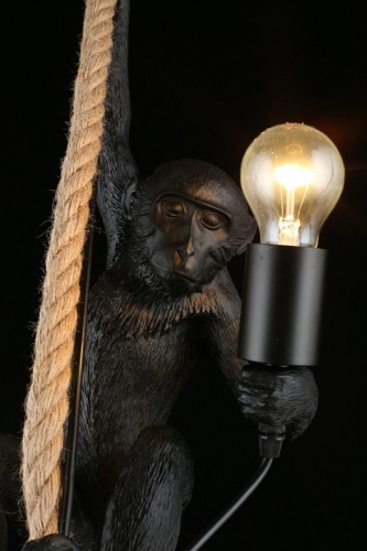 Подвесной светильник Aployt Magali APL.309.16.01 в Нижнем Новгороде фото 12