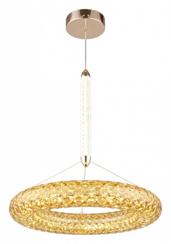 Подвесной светильник Aployt Danuta APL.035.06.25 в Нижнем Новгороде фото 7