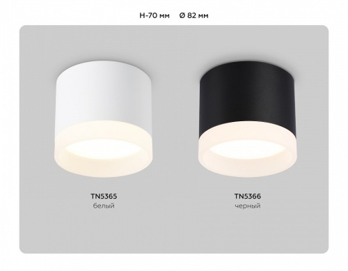 Накладной светильник Ambrella Light TN TN5365 в Нижнем Новгороде фото 5