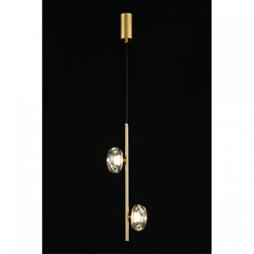 Подвесной светильник Aployt Tereze APL.074.06.02 в Нижнем Новгороде фото 8