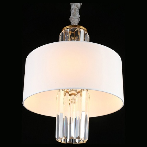 Подвесной светильник Aployt Karola APL.841.13.04 в Нижнем Новгороде фото 14