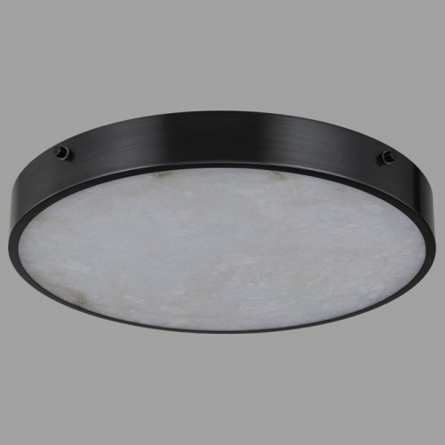 Накладной светильник Belfast Devon 3395-4 BL MB в Нижнем Новгороде фото 7