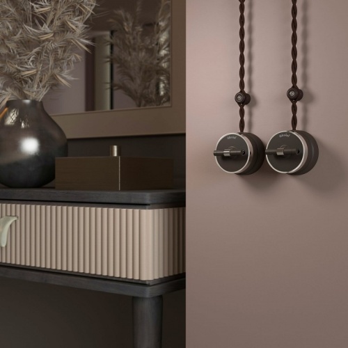 Выключатель двухклавишный с корпусом Werkel Vintage (мокко матовый/хром) W5822052 в Нижнем Новгороде фото 2