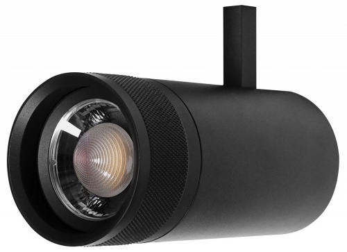 Светильник на штанге Lightstar Canno Pro 304307 в Нижнем Новгороде