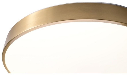 Накладной светильник Zortes Monna ZRS.1209.12 в Нижнем Новгороде фото 12