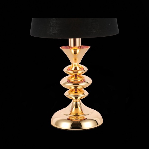 Настольная лампа декоративная EVOLUCE Rionfo SL1137.204.01 в Тюмени фото 7