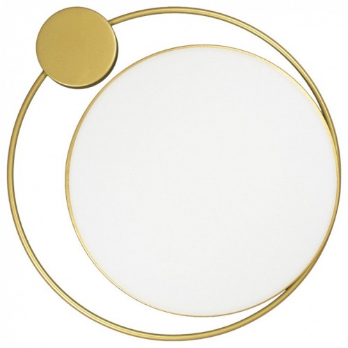 Накладной светильник Loft it Mike 10063 в Нижнем Новгороде фото 5