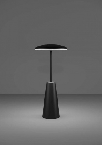 Настольная лампа декоративная Eglo PICCOLA 900925 в Нижнем Новгороде фото 4