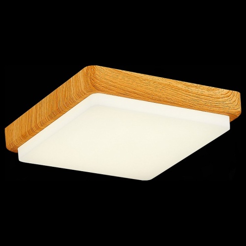 Накладной светильник EVOLUCE Taddio SLE200202-01 в Нижнем Новгороде фото 5