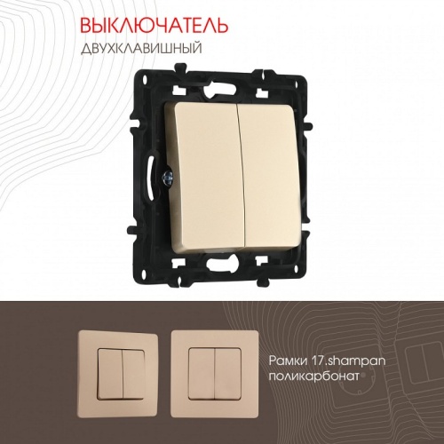 Выключатель двухклавишный без рамки Arte Milano 217 217.30-2.shampan в Нижнем Новгороде фото 4