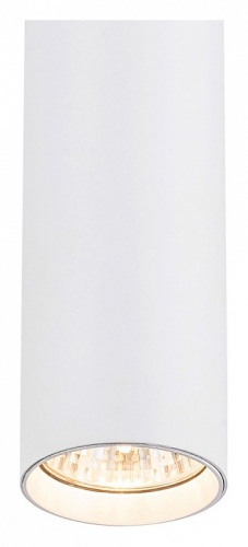 Подвесной светильник Escada 20001 20001TRP/01 SWH в Нижнем Новгороде фото 2