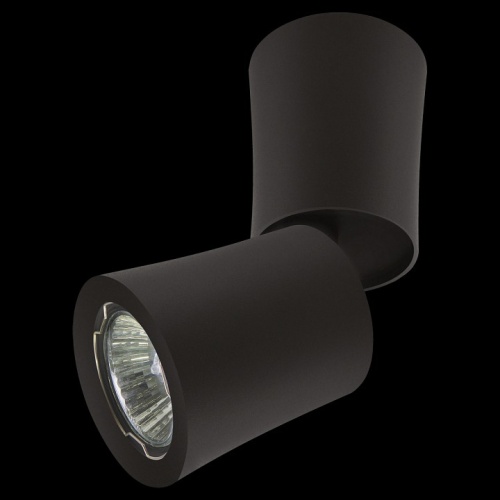 Накладной светильник Lightstar Rotonda 214457 в Нижнем Новгороде фото 3