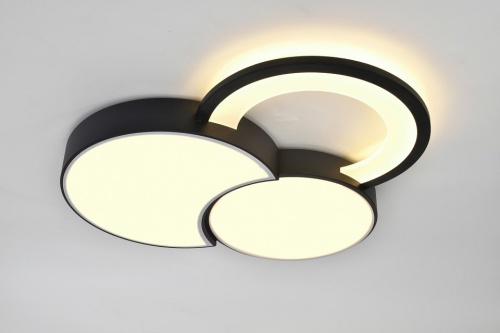 Потолочная люстра Rivoli Aliona Б0066452 в Нижнем Новгороде фото 7