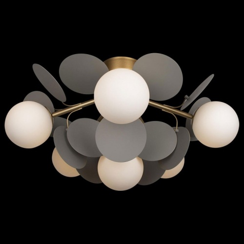 Потолочная люстра Loft it Matisse 10008/6C Grey в Нижнем Новгороде фото 3