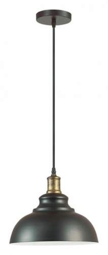 Подвесной светильник Lumion Dario 3675/1 в Туапсе фото 5