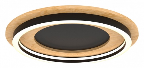 Накладной светильник Lightstar Lodi 723017 в Нижнем Новгороде