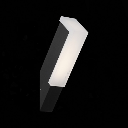 Накладной светильник ST-Luce Posto SL096.411.02 в Ермолино фото 2