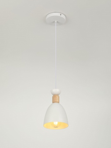 Подвесной светильник Rivoli  5109-201 в Нижнем Новгороде фото 5