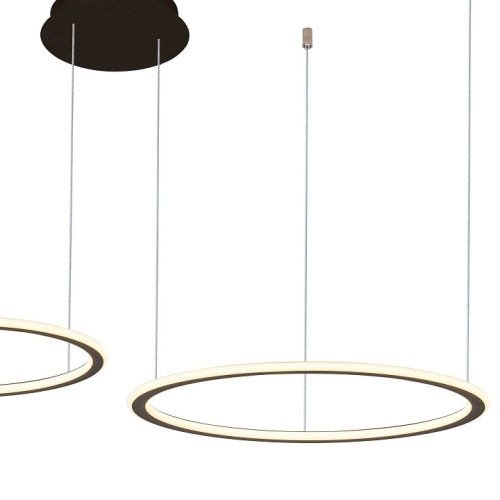 Подвесной светильник Zortes Umli ZRS.1585.02 в Нижнем Новгороде фото 2