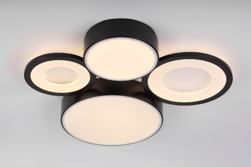 Потолочная люстра Rivoli Aliona Б0066451 в Нижнем Новгороде фото 5